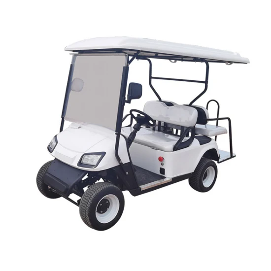 Family Transport 2 Seat /4 Seat Smart Golf Cart Street Golf Trolley Electric Vehicles