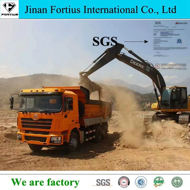 25t China Heavy Truck Sinotruk Sinotruck HOWO Shacman H3000 6X4/10 Tyre Dump/Dumper Truck Tractor Cargo Lorry Truck for African Market