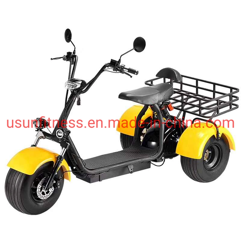 Special Vehicles for Farms and Gardens Electric Motor Bike Electric Tricycle Cargo with Double Seats for Adult