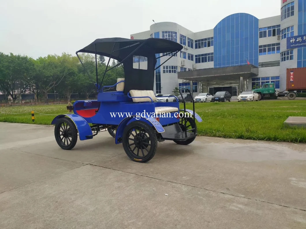 Antique Old Style Golf Car Special Sightseeing Vehicle on Sale