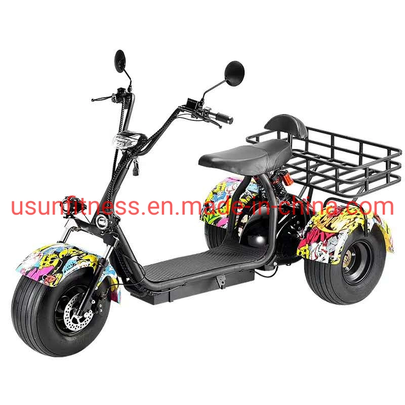 Special Vehicles for Farms and Gardens Electric Motor Bike Electric Tricycle Cargo with Double Seats for Adult