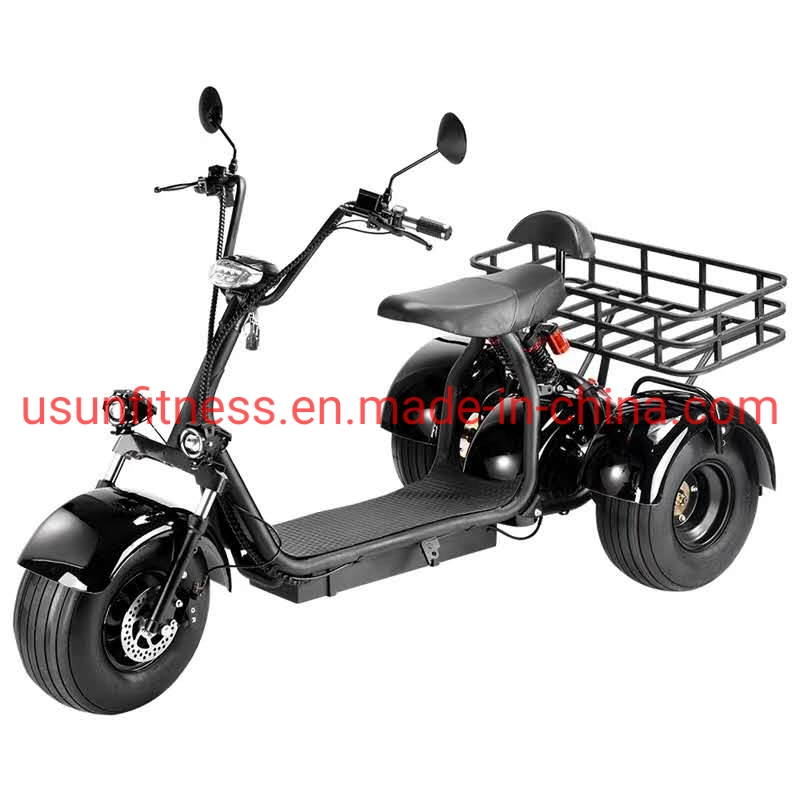 Special Vehicles for Farms and Gardens Electric Motor Bike Electric Tricycle Cargo with Double Seats for Adult