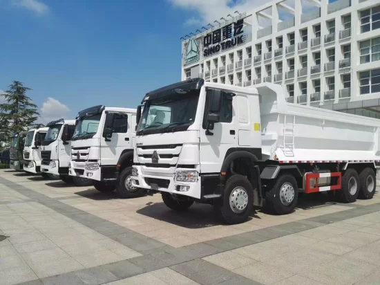 Sinotruk HOWO 6X4 Dump Truck and Dumper Truck with 15-20 M3