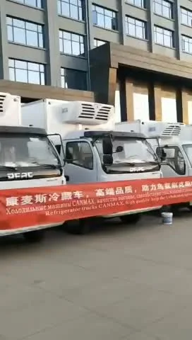 Isuzu 600p 4X2 6tons 5tons Independent Refrigerated Unit Thermo King Freezer Cooling Refrigerator Truck