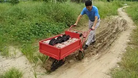 Multifunctional Transport Vehicle - Single Track of Gasoline Engine