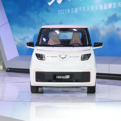 Made in China Cheap New Energy Electric Vehicle Wuling Nano Zootopia Judy Special Edition Mini EV for Sale